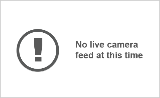 SR431 Country Club Dr live webcam