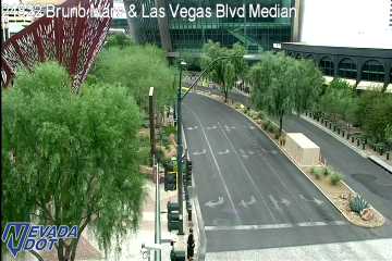 Las Vegas Blvd & Park Ave S Median