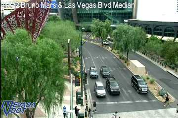 Las Vegas Blvd & Park Ave S Median