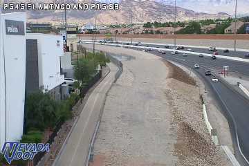 Flamingo Rd & CC 215 SB Ramp